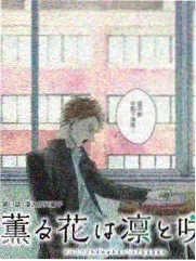 幻境综艺秀封面